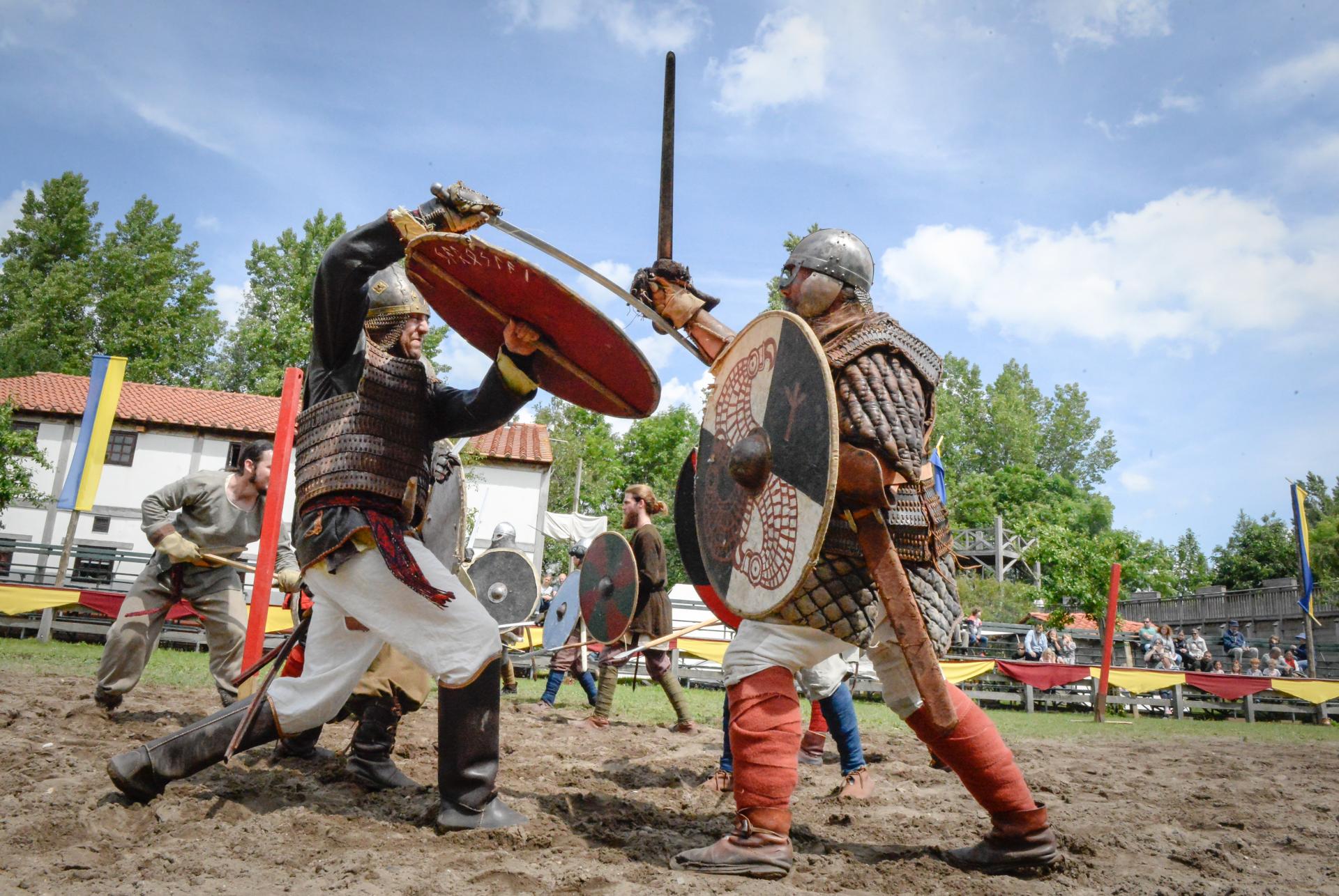 Wikinger in Archeon